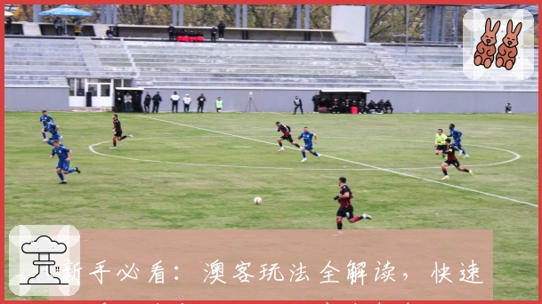 新手必看:澳客玩法全解读,快速上手指南与核心功能亮点解析